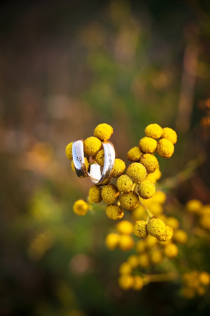 Фото Кольцо с бриллиантом на желтом цветке