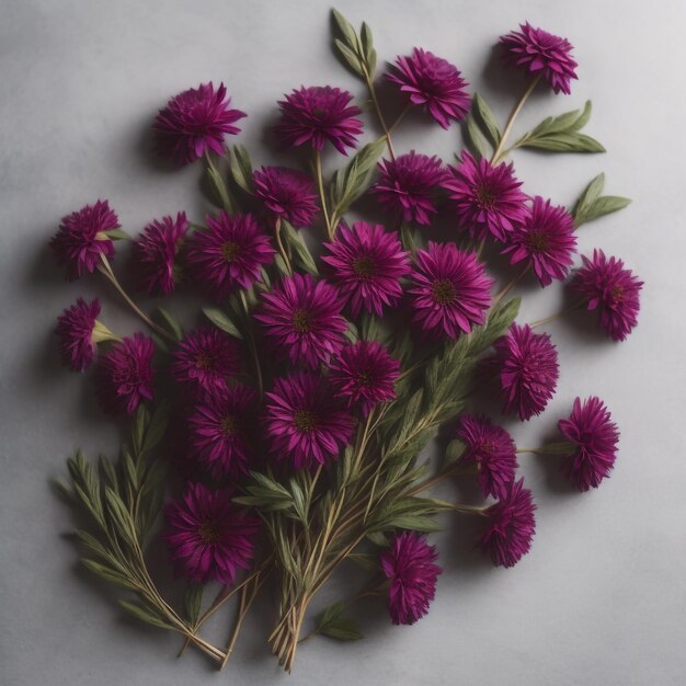 Foto dianthus