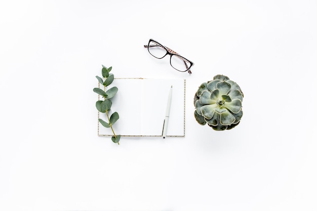 Diary pen green leaves eucalyptus and glasses on white background flat lay top view