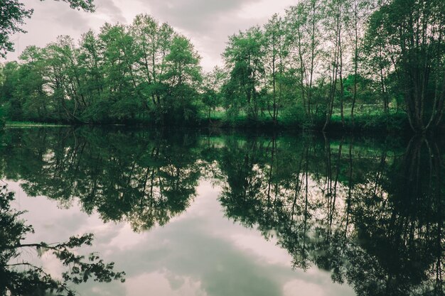 dichtbij zicht op het water van de rivier