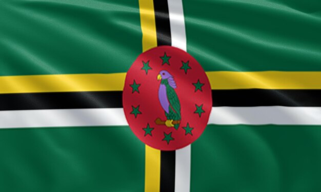 dichtbij zwaaiende vlag van Dominica vlag symbolen van Dominica