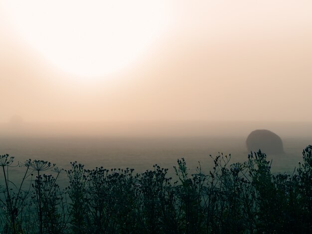 Dichte mist omhult het idyllische landschap