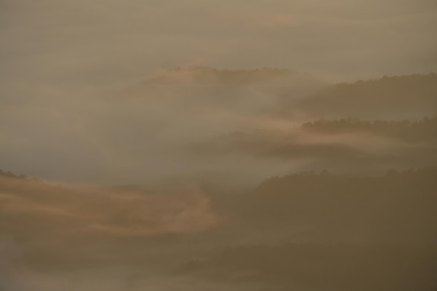 Foto dichte mist stroomt 's ochtends over een heuvel