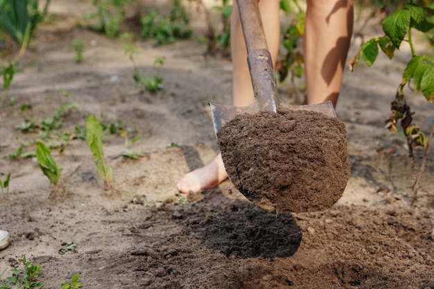 Dichte omhooggaand van schop in de grond