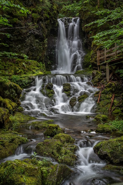 Photo dickson falls