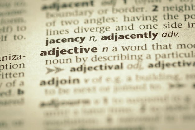Dictionary definition of word