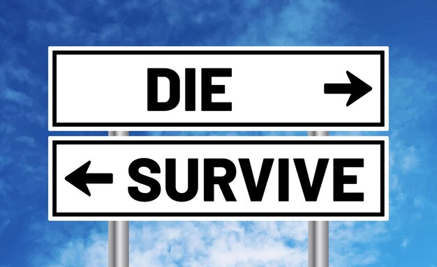 Die or survive road sign on sky background