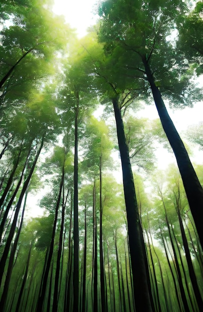 Diepe jungle gevuld met bomen