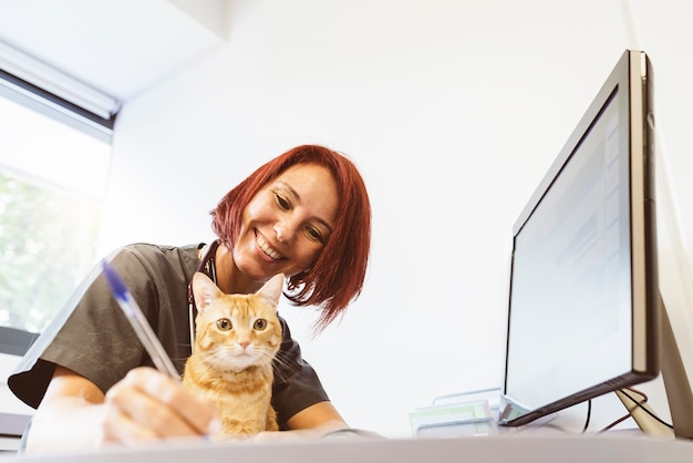 Dierenarts arts maakt een check-up van een schattige mooie kat. Veterinair concept.