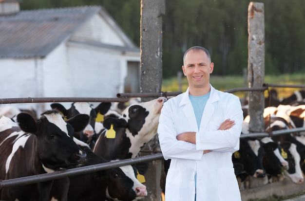 Dierenarts man in een witte jas op boerderij koe