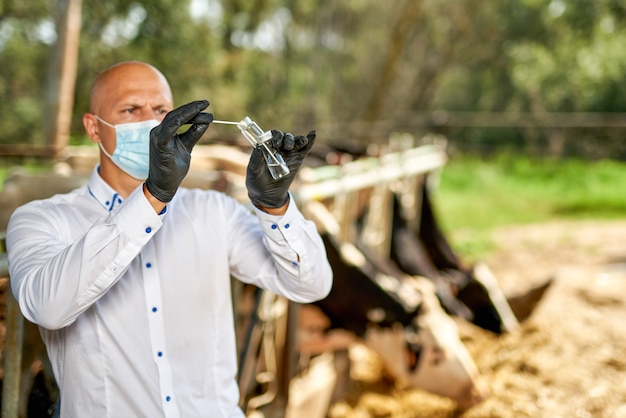 Dierenarts op boerderij vee op boerderij met melkkoeien.