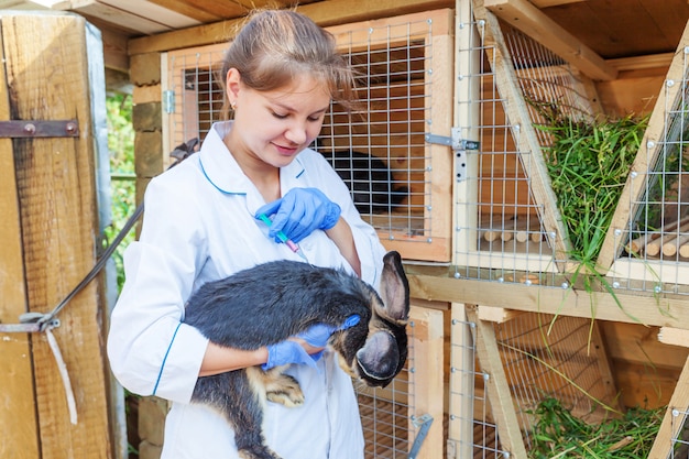 Dierenarts vrouw met spuit die en konijn op boerderij houdt inspuit