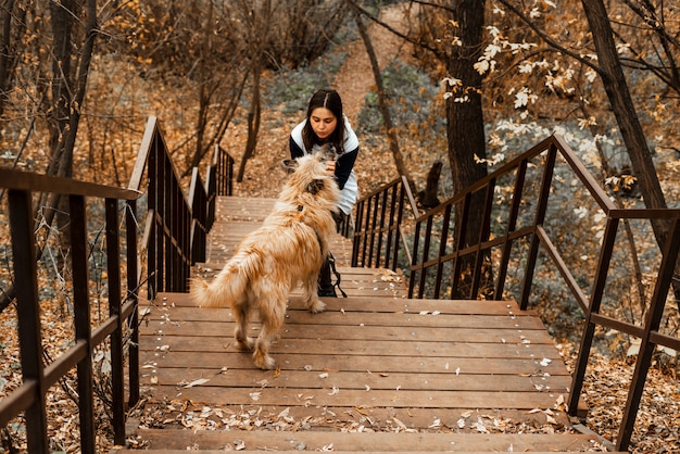 Dierentraining. Een vrijwilligersmeisje loopt met een hond uit een dierenasiel. Meisje met een hond in het de herfstpark