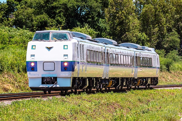 A diesel train traverses through the forest.