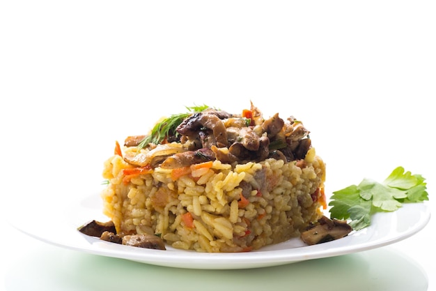 Diet pilaf with mushrooms and vegetables in a plate