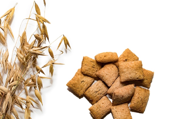 Dietary cereal pads on a white background Branch of dry oats and cereal pads isolated on a white background Healthy eating example