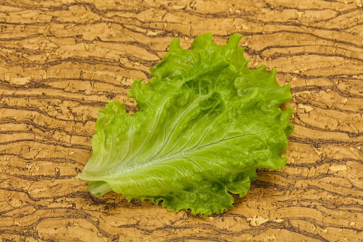 Photo ダイエット料理 緑のサラダの葉