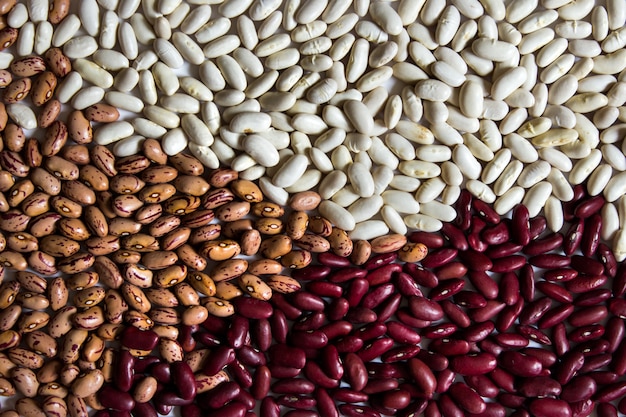 different beans background