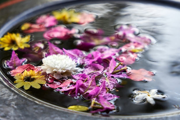 Different beautiful fresh flowers float on the surface of a bowl of water