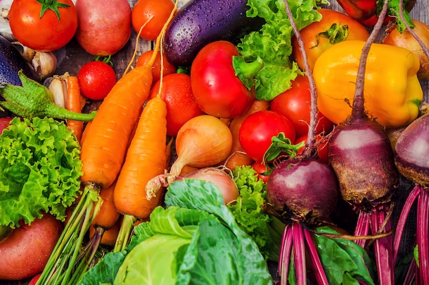 Different bio vegetables. selective focus. food nature.