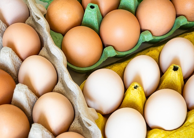 Different categories of eggs in trays top view