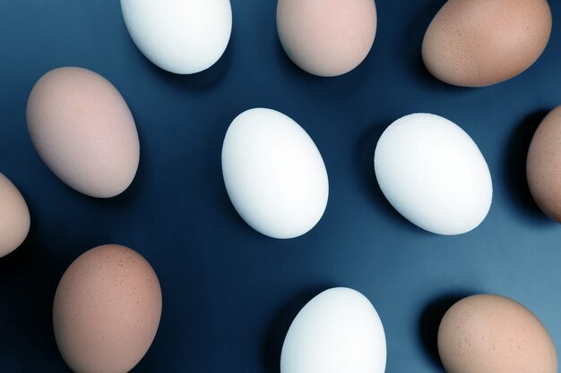 Different chicken eggs lie on dark background