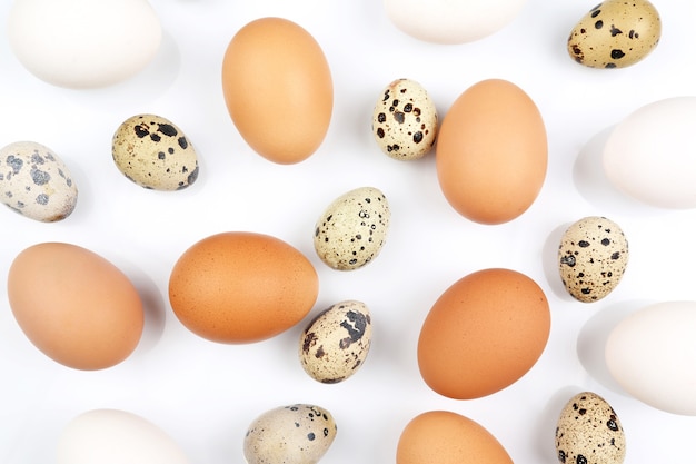 Different chicken eggs lying randomly on white
