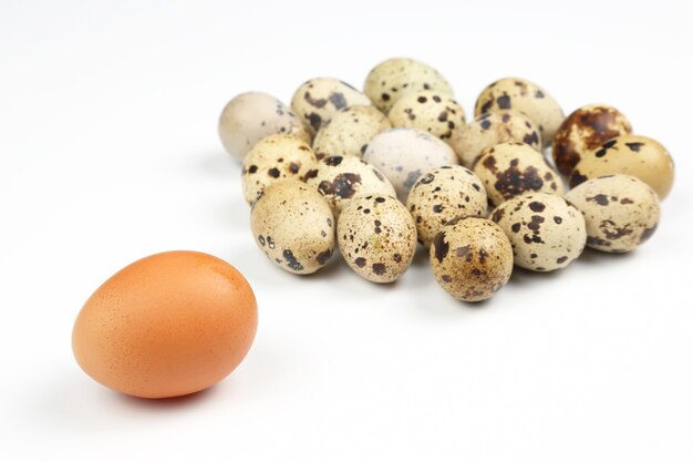 Different chicken eggs on a white background
