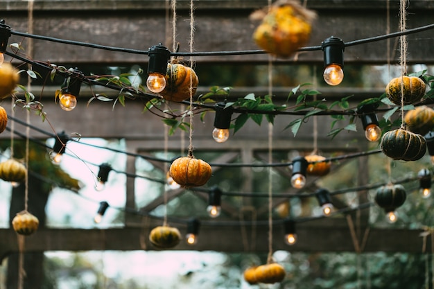 Different color and size pumpkin decor on outdoor market, autumn food