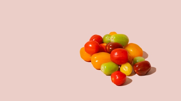 Different colorful cherry tomato isolated on pink background with copy space mockup