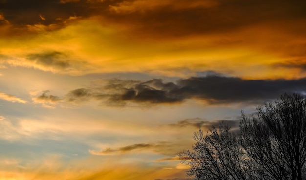 木のパノラマと夕日の異なる色とりどりの雲