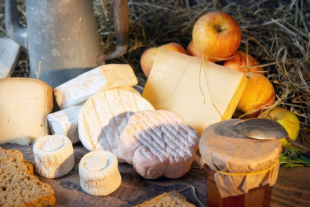 Different delicious French cheeses on straw