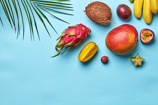 Diversi frutti esotici e foglia di palma isolati
