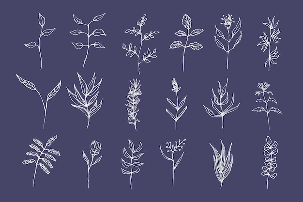 Photo different flowers and leaves doodle hand drawn white flower collection on dark blue background set of delicate plants