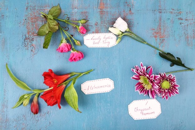 Different flowers with tags on wooden background