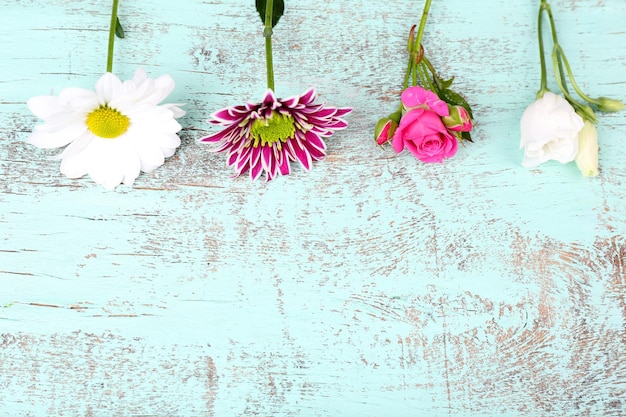 Different flowers on wooden background