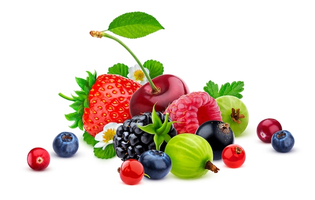 Different forest berries isolated on white background