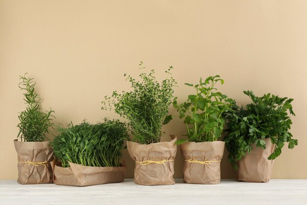 Photo different herbs on white wooden table against beige background