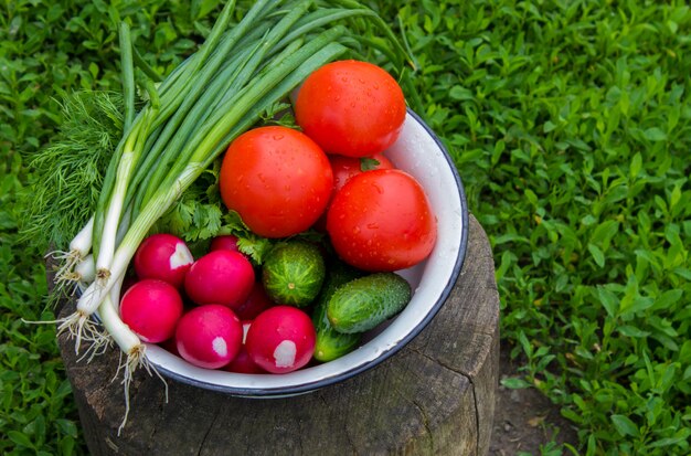 Different homegrown vegetables on white wooden background. selective focus.