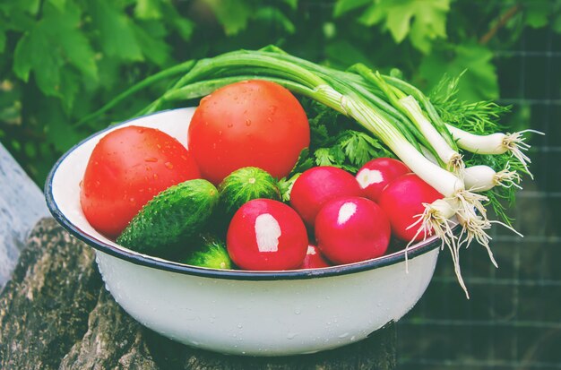 Different homegrown vegetables on white wooden background. selective focus.