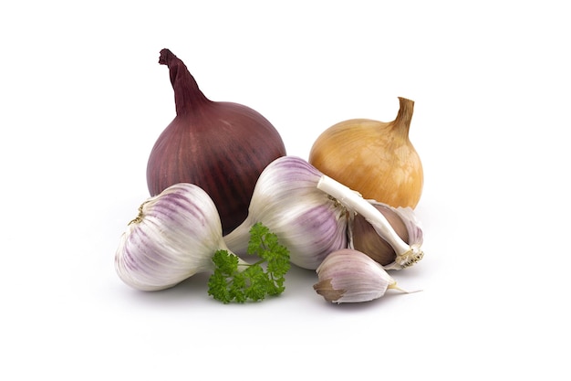 Different kind of onion garlic bulbs and cloves green parsley twig in closeup isolated on white