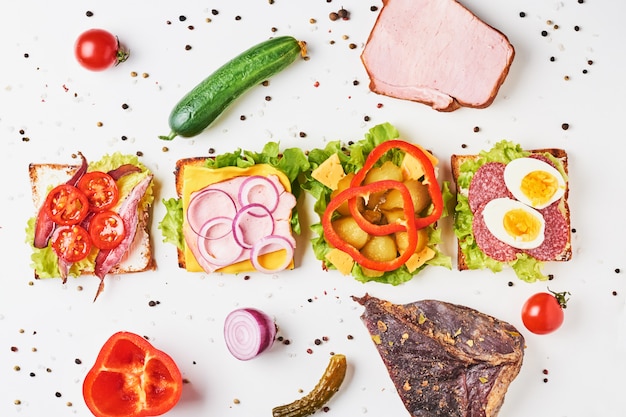 Genere differente di panino e di ingredienti su un fondo bianco, vista superiore