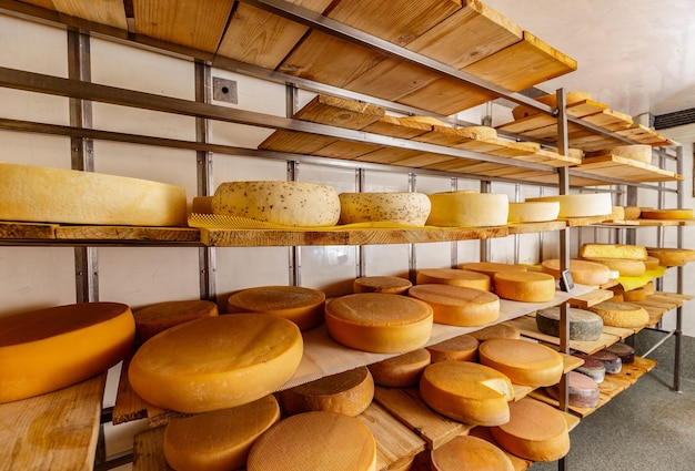 different kinds of cheese