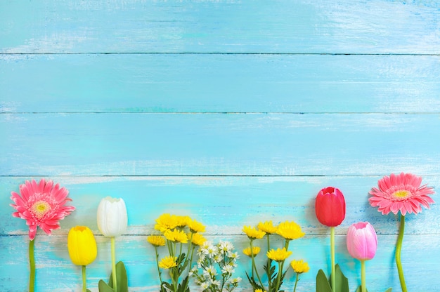 Different kinds of colorful flowers in line on blue wooden background