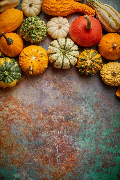 Photo different kinds colorful mini pumpkins placed on rusty background creative top view flat lay autumn composition with copy space for text