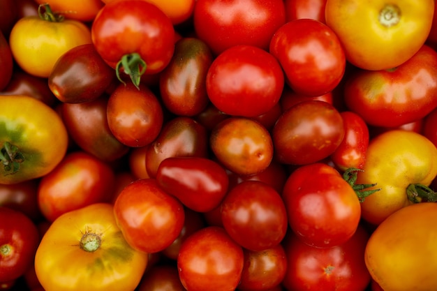 Different kinds of homegrown tomatoes, Assortment of tomatoes,  local farmers market, Fresh vegetables, Fresh harvest of  Red, yellow and orange tomato. Top view.