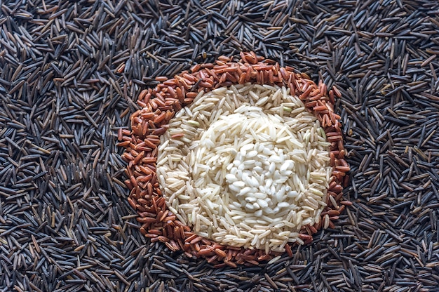 Photo different kinds of rice: top view