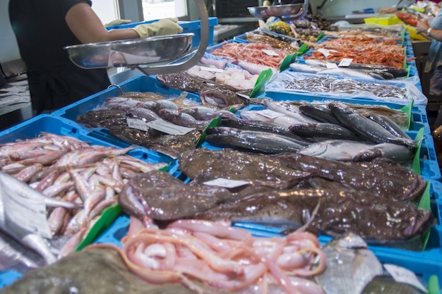 Different kinds of seafood at fish market