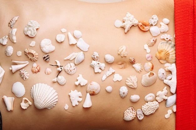 Different kinds of seashells corals on woman body macro detail structure