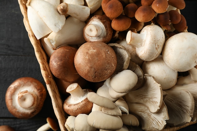 Different mushrooms in basket on wooden background, close up